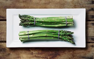 asparagus bunch on a plate