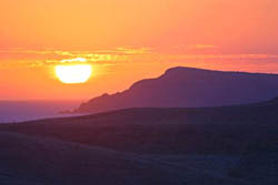 Cape woolami at sunset, copyright foons photographics 2002