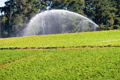 spray irrigation Mirboo North - Thorpdale image copyright foons photographics 2005