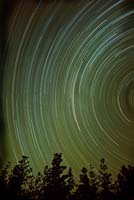 Star trails over Porepunkah Pine Plantation  Foons Photographics 2006